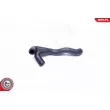 ESEN SKV 31SKV135 - Tuyau, ventilation de carter-moteur