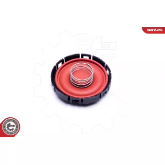 Diaphragme, ventilation du carter-moteur ESEN SKV 31SKV142