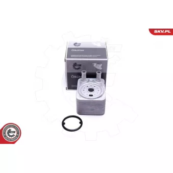 Radiateur d'huile ESEN SKV 31SKV208 pour VOLKSWAGEN SCIROCCO 1.9 TDI 4motion - 130cv