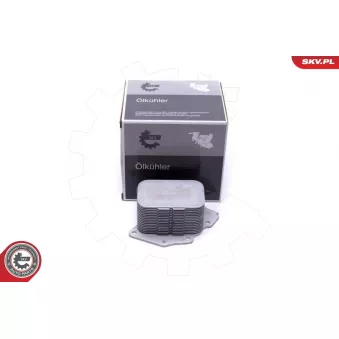 Boîtier, filtre à huile ESEN SKV OEM 11427805977