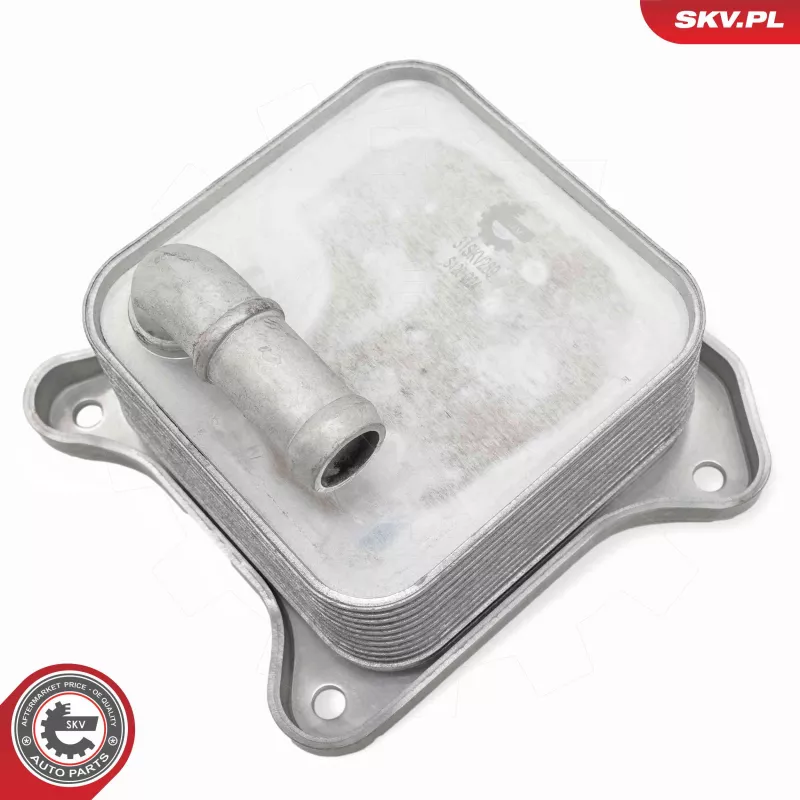 Radiateur d'huile ESEN SKV 31SKV289 - Visuel 1
