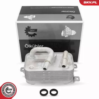 Radiateur d'huile de boîte automatique ESEN SKV OEM 17217519213
