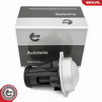 ESEN SKV 31SKV426 - Séparateur d'huile, prise de recyclage des gas de carter