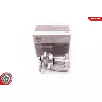 Étrier de frein arrière gauche ESEN SKV OEM 4B0615423