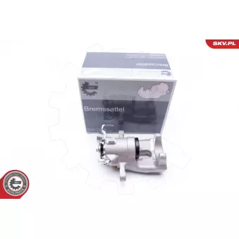 Étrier de frein arrière droit ESEN SKV OEM 93176083