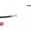 ESEN SKV 35SKV137 - Flexible de frein