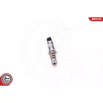 Valve de commande, réglage d'arbres à came ESEN SKV 39SKV010 pour AUDI Q3 RS 2.5 quattro - 310cv