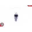 ESEN SKV 39SKV023 - Valve de commande, réglage d'arbres à came