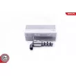 Valve de commande, réglage d'arbres à came ESEN SKV [39SKV033]
