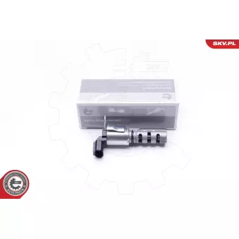 Valve de commande, réglage d'arbres à came ESEN SKV 39SKV033