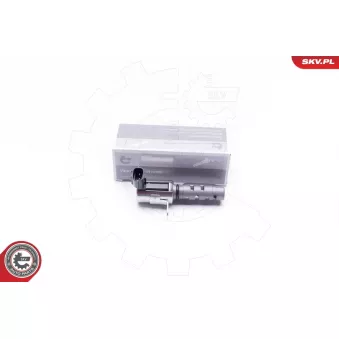Valve de commande, réglage d'arbres à came ESEN SKV 39SKV038