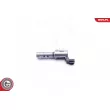 ESEN SKV 39SKV039 - Valve de commande, réglage d'arbres à came