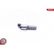ESEN SKV 39SKV041 - Valve de commande, réglage d'arbres à came