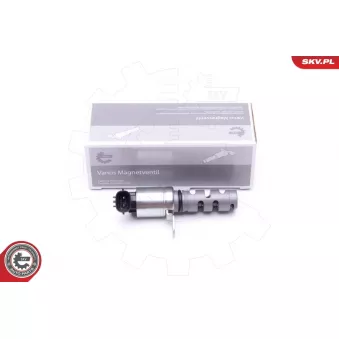 ESEN SKV 39SKV049 - Valve de commande, réglage d'arbres à came