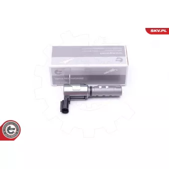 Valve de commande, réglage d'arbres à came ESEN SKV 39SKV061