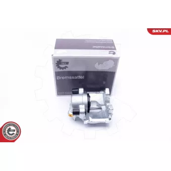 Étrier de frein arrière gauche ESEN SKV OEM A9024203402