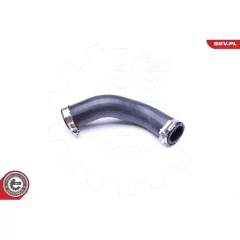 Gaine de suralimentation ESEN SKV 43SKV040