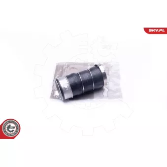 Gaine de suralimentation ESEN SKV 43SKV085 pour SMART ROADSTER 335 i - 306cv