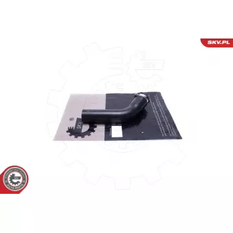 Gaine de suralimentation ESEN SKV OEM 50517509 Gaine de suralimentation ESEN SKV OEM 50517509