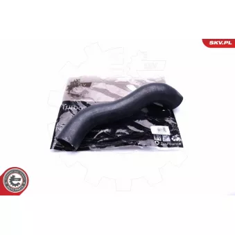 Gaine de suralimentation ESEN SKV 43SKV167 pour CITROEN C3 2.2 MZR-CD - 173cv