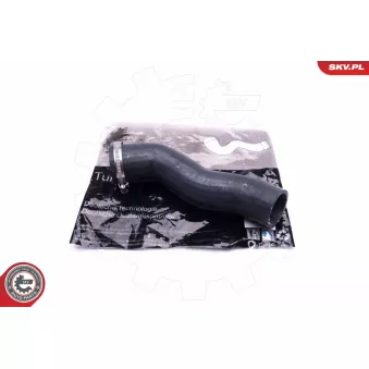 Gaine de suralimentation ESEN SKV 43SKV174