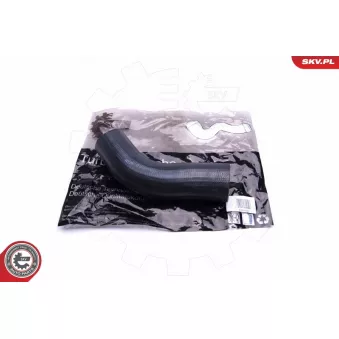 Gaine de suralimentation ESEN SKV 43SKV203 pour ALFA ROMEO 166 2.4 JTD - 163cv