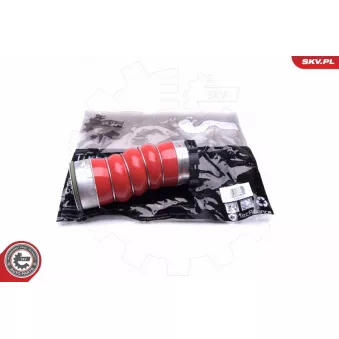 Gaine de suralimentation ESEN SKV 43SKV219