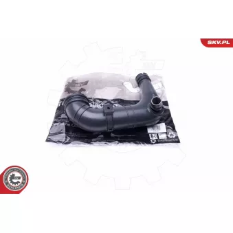 Gaine de suralimentation ESEN SKV 43SKV227