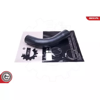 Gaine de suralimentation ESEN SKV 43SKV235