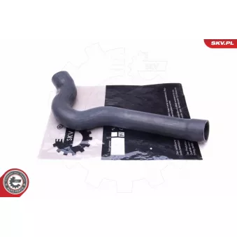 Gaine de suralimentation ESEN SKV 43SKV301