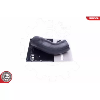 Gaine de suralimentation ESEN SKV 43SKV313