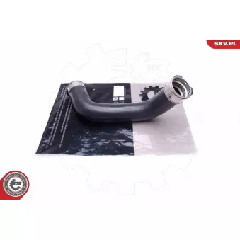 Gaine de suralimentation ESEN SKV 43SKV374