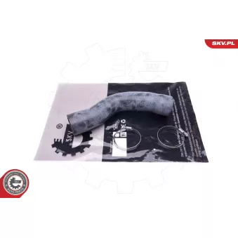 Gaine de suralimentation ESEN SKV 43SKV388