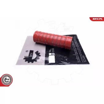 Gaine de suralimentation ESEN SKV 43SKV391 pour FORD TRANSIT 2.5 D - 68cv