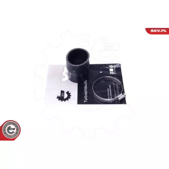 Gaine de suralimentation ESEN SKV 43SKV394 pour NISSAN CUBE 2.0 TDI 4motion - 140cv