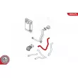 ESEN SKV 43SKV711 - Durite de radiateur