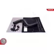 ESEN SKV 43SKV877 - Durite de radiateur