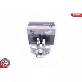 Étrier de frein arrière gauche ESEN SKV 46SKV643 pour LEXUS GS 400 - 294cv