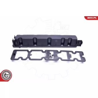 ESEN SKV 48SKV049 - Couvercle de culasse