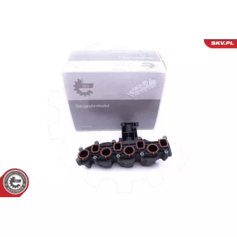 Module de tube d'admission ESEN SKV OEM 03L129711AL