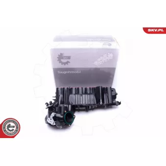 Module de tube d'admission ESEN SKV 49SKV020