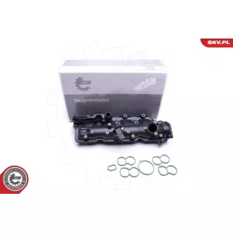 Module de tube d'admission ESEN SKV OEM 55229188