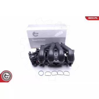 Module de tube d'admission ESEN SKV 49SKV027 pour VOLKSWAGEN BORA 1.8 - 125cv