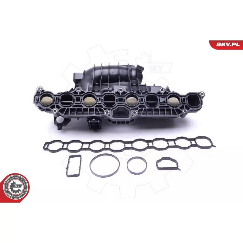 Module de tube d'admission ESEN SKV 49SKV030 - Visuel 1