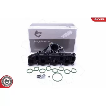 Module de tube d'admission ESEN SKV 49SKV041 pour VOLKSWAGEN AMAROK 2.0 TDI - 122cv