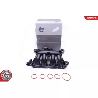 Module de tube d'admission ESEN SKV 49SKV045