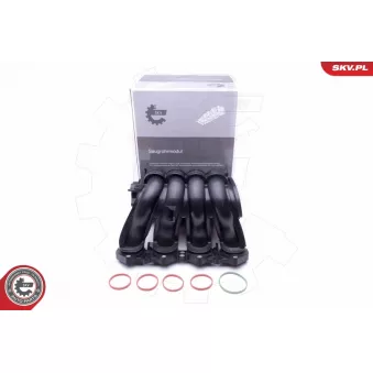 Module de tube d'admission ESEN SKV 49SKV046