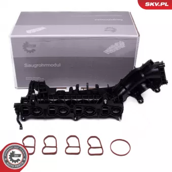 Module de tube d'admission ESEN SKV 49SKV082