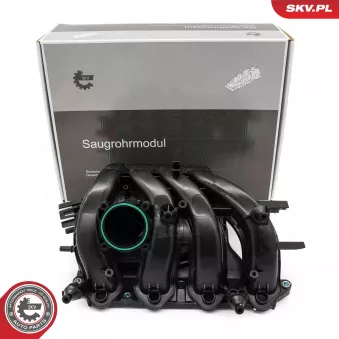 ESEN SKV 49SKV087 - Module de tube d'admission