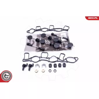 ESEN SKV 49SKV500 - Kit de réparation, module de tube d'aspiration